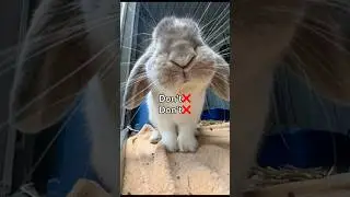 NOM #fypシ