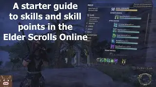 A starter guide to skills and skill points in the Elder Scrolls Online