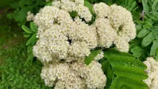 58.Я СКУЧАЮ ПО МОСКВЕ! НОВОЕ ВИДЕО ДЛЯ ТЕХ КТО ЛЮБИТ МОСКВУ.