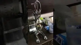 Пресс-соковыжималка порядок разборки