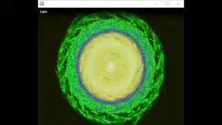 bipki.mp4