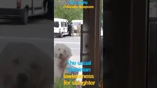 Обычный день украинца с демократическими ценностями.