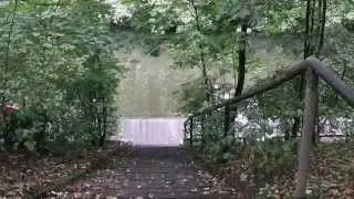 Harald D. aus Hamburg E. / Gruppe Gutzeit