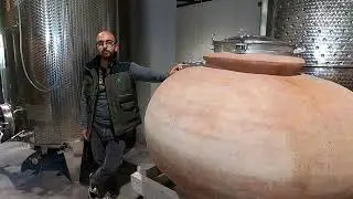 Amphoras at Azienda Cirelli