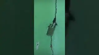 20 марта 2024 г.