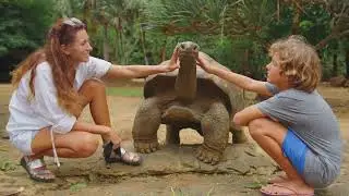 Is Your Turtle Dead? How to Know for Sure!