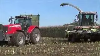 Mais//Krone Big X650 &Claas Jaguar 900///Fendt, MF, NH