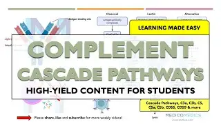 Complement System Pathways | Medical Lecture