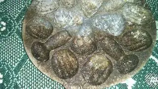 Орешница чугунная форма для выпечки орешков СССР / Hazel nut cast iron baking dish