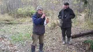 76 Московские состязания лаек по белке( день второй)