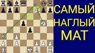 ЭТО САМАЯ КОВАРНАЯ ЛОВУШКА В ШАХМАТАХ. Шахматы ловушки