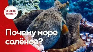 🌊 Почему море соленое?