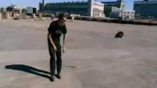 Tory gets nailed with a rock