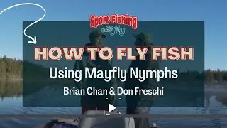 FLY FISHING: HOW TO USE MAYFLY NYMPHS