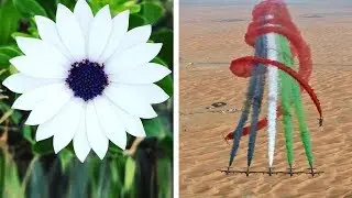 Подборка Фотографий, На Которых Все Идеально