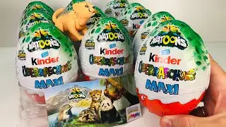 NEW Kinder MAXI NATOONS VQ 24/25 Новый Киндер Макси НАТУНС 2024/2025