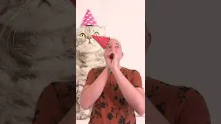It’s my birthday! 🎉🥳🎉 #birthday #positivevibes #begrateful #happy #lightworker #gratitude