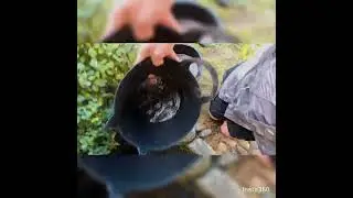 Ready to Fall