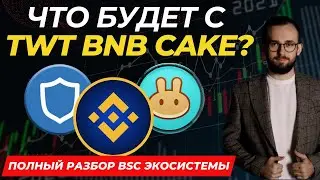 🟢 Why are TWT, CAKE, and BNB rising against the market? What's going on in the BSC ecosystem?