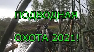 Подводная охота 2021!!!