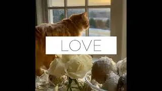 #LOVEWHATYOUDO
