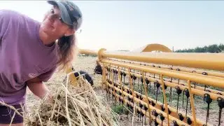 Baling By The Light Of The Moon 😳 Is Hemp Hay Even Worth It?!