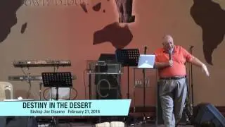 Destiny In The Desert