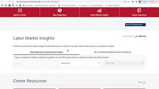 Exploring the Labor Market Insights Tool