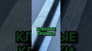 10 июня 2024 г.