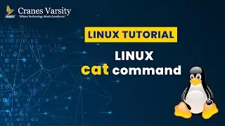Linux Cat Command