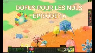 aventure dofus pour les nuls épisode 16