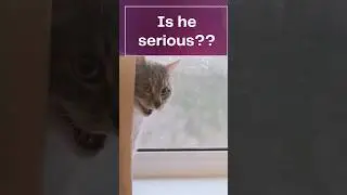 😻🔥Grammar Joke🔥😻