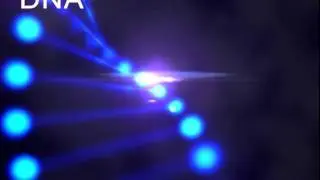 After Effects 