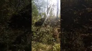 Тропинка