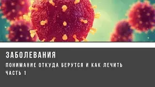 Заболевания - понимание откуда берутся и как лечить их (часть 1)