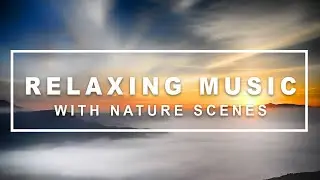 Relaxing Music with Nature Scenes - Peaceful Ambient Music for Sleep, Study & Stress Relief