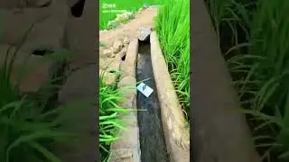 This is so amazing 🥶 ll 