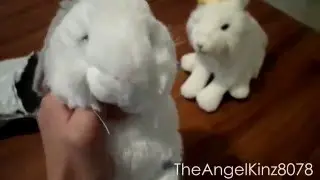 Opening my Webkinz Hoppy Floppy Bunny