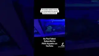 The aquatic industry is becoming very sustainable!