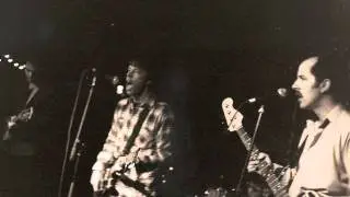 Beehive & the Barracudas - Maximum Detail