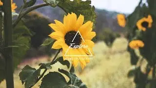 Colorful Mocha | Demo | Part 1