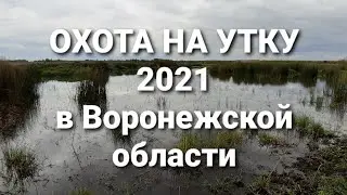 ОХОТА НА УТКУ в Воронежской области 2021. Часть 6-я.