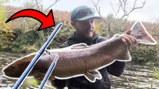 This Salmon Snapped My Rod!
