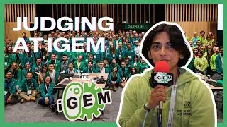 What is it like to be an iGEM Judge?