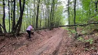 Cutting a fallen tree 2