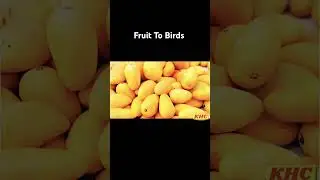 Fruit To Birds Transformation #fruit #funnyshorts #amazing #shortsvideo #shorts