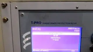 TPRO RELAY DISPLAY SHORTS