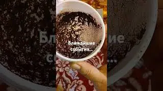 25 сентября 2024 г.