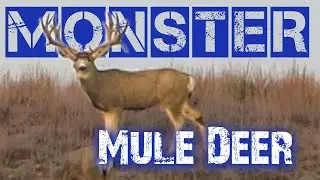 Hunting Mule Deer - GIANT MULEY makes Guy Eastman speechless! (Eastmans’ Hunting TV)