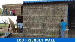 Eco friendly wall in our farm || ईको फ्रैंडली दीवार 🌴🌴 || Kasutam- कसुतम्